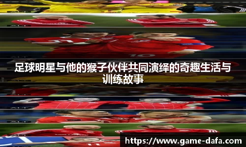 关键词4
